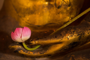 Buddah statue holding lotus flower